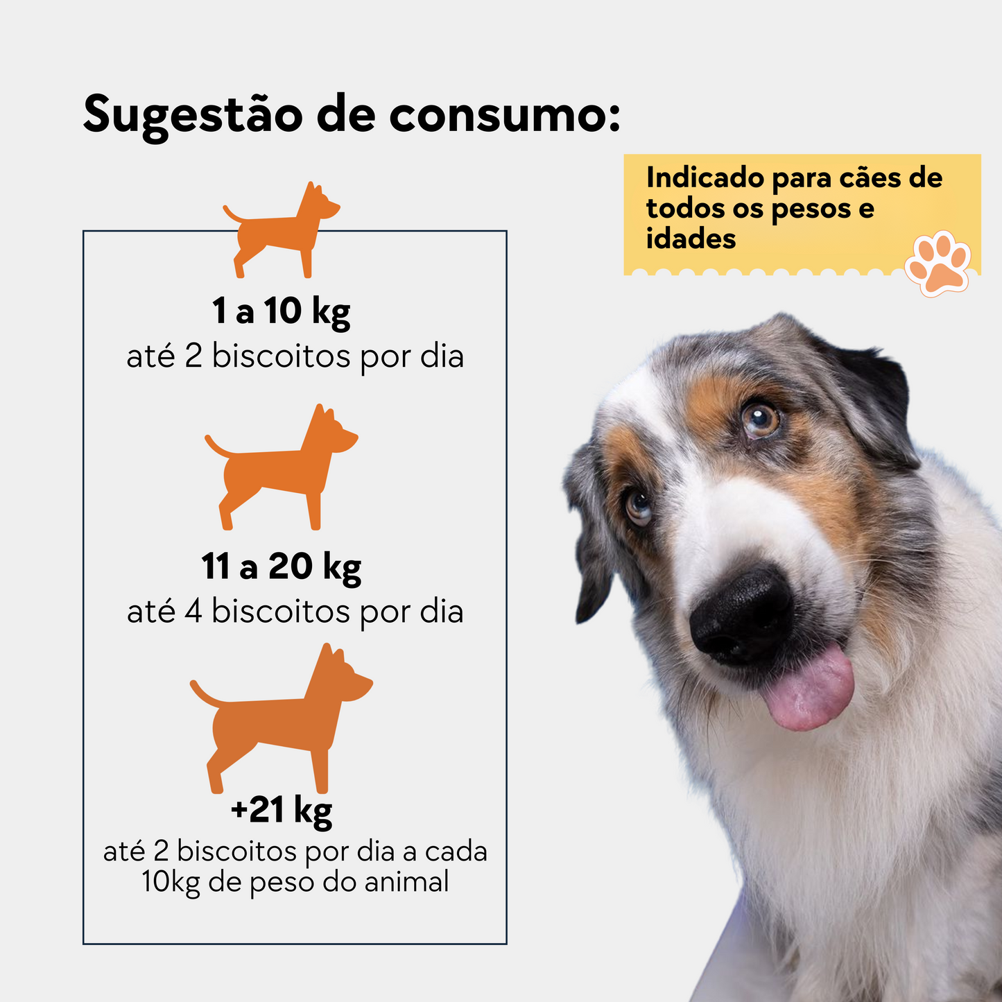 FLORAL + SUPLEMENTO + PRESENTE