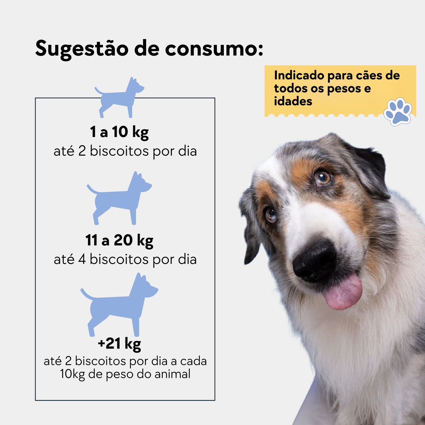 SUPLEMENTO OSSOS E ARTICULAÇÕES
