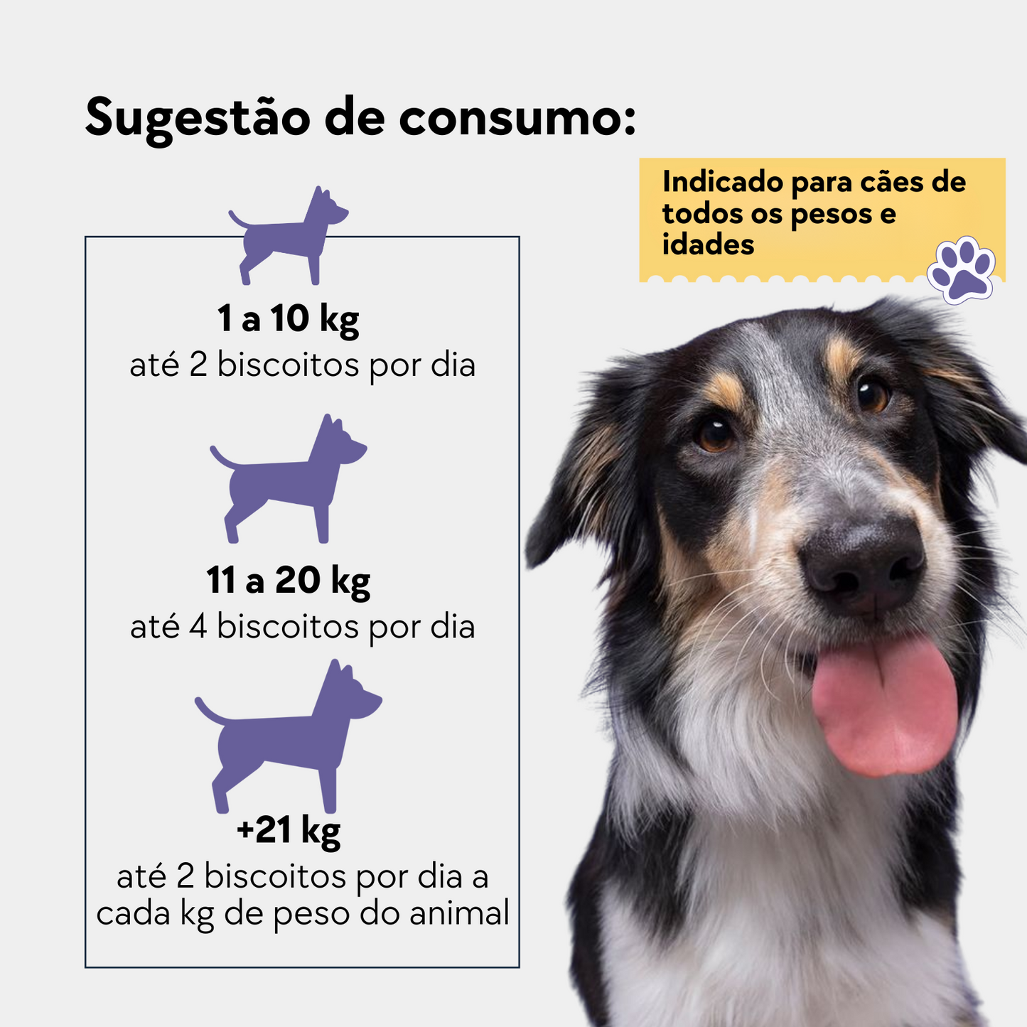 COMPRE 3 LEVE 4 SUPLEMENTOS