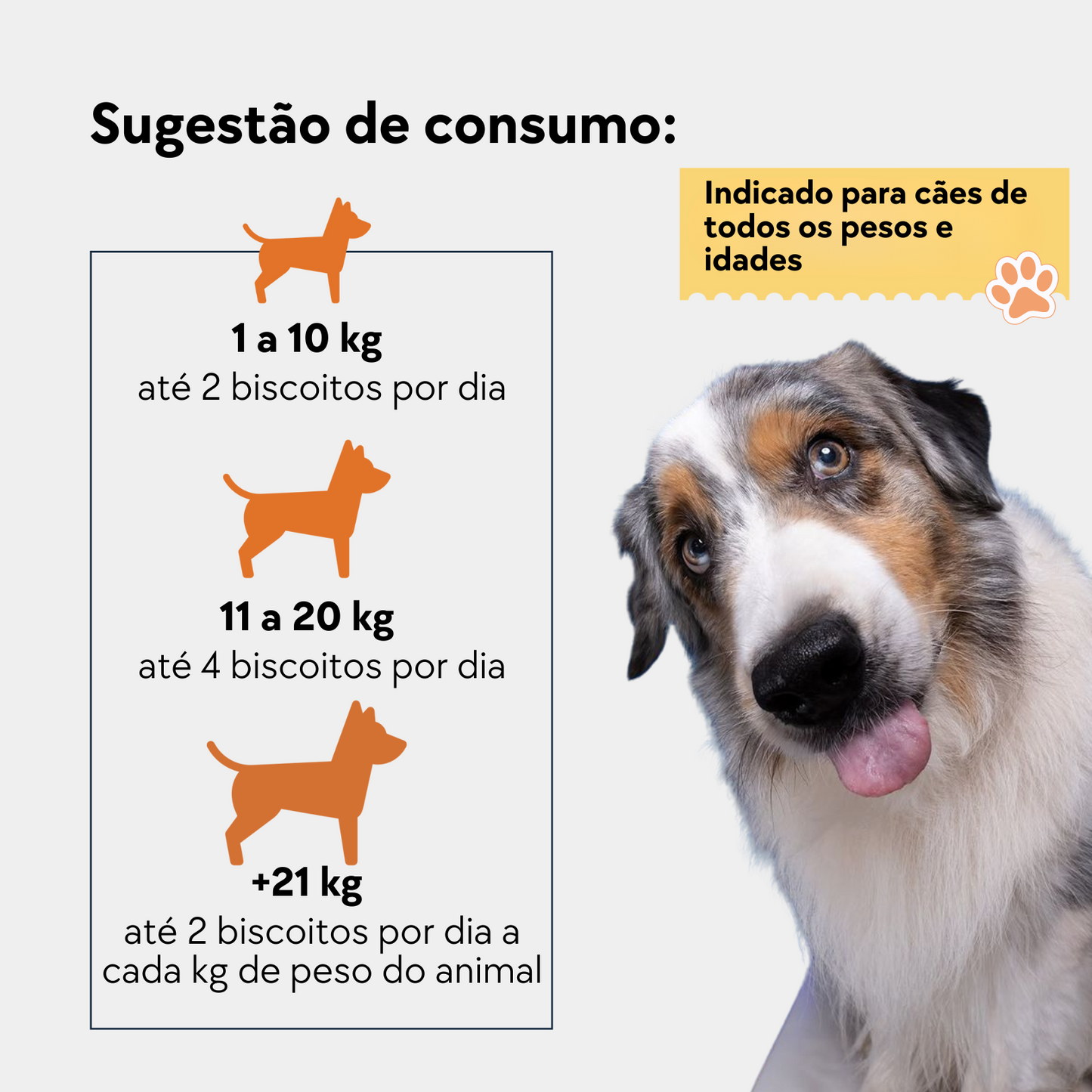 Kit Lambedura Excessiva