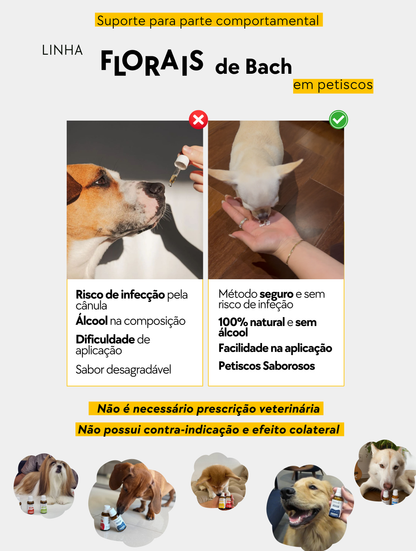 Kit Lambedura Excessiva