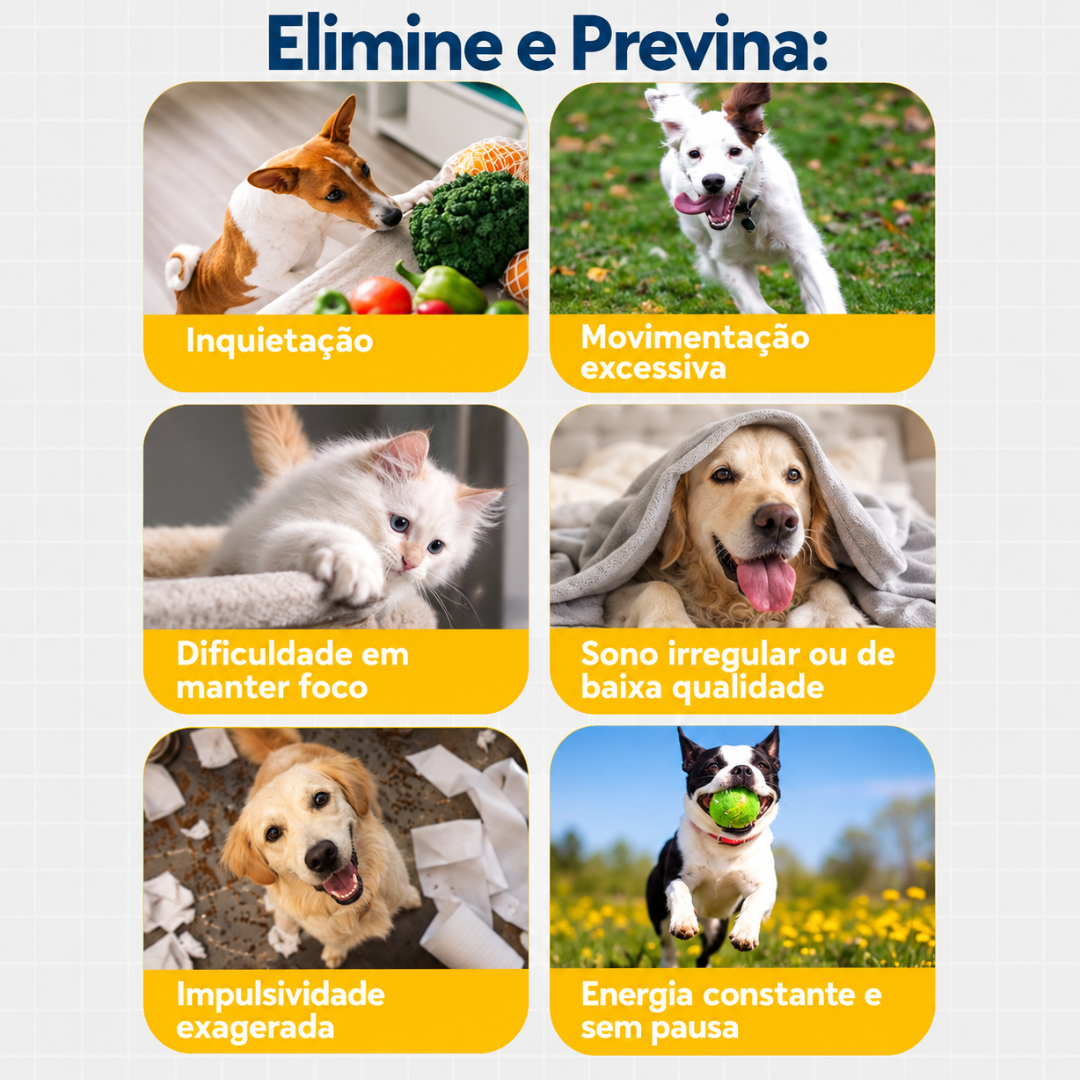 Floral Pet Hiperatividade