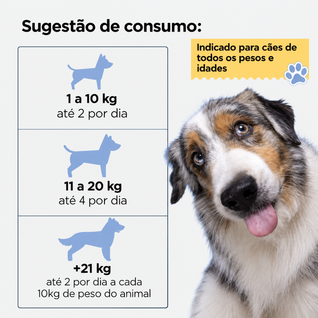 SUPLEMENTO OSSOS E ARTICULAÇÕES