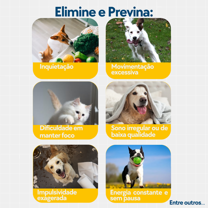 Floral Pet Hiperatividade