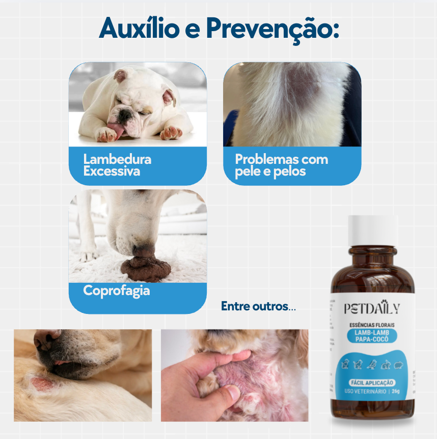 Floral Pet Lambedura e Coprofagia