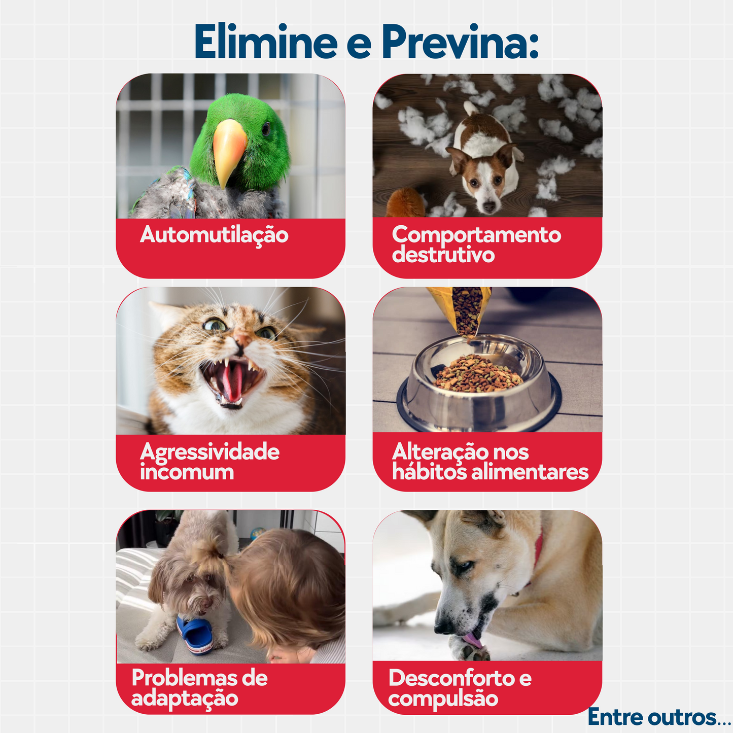 Floral Pet Stress e Agressividade