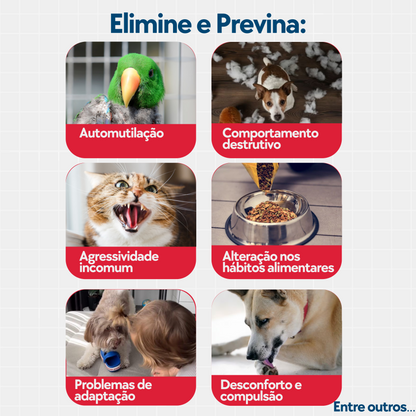 Floral Pet Stress e Agressividade