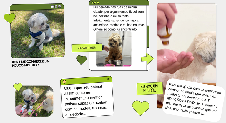 Produtos Premium para seu Pet