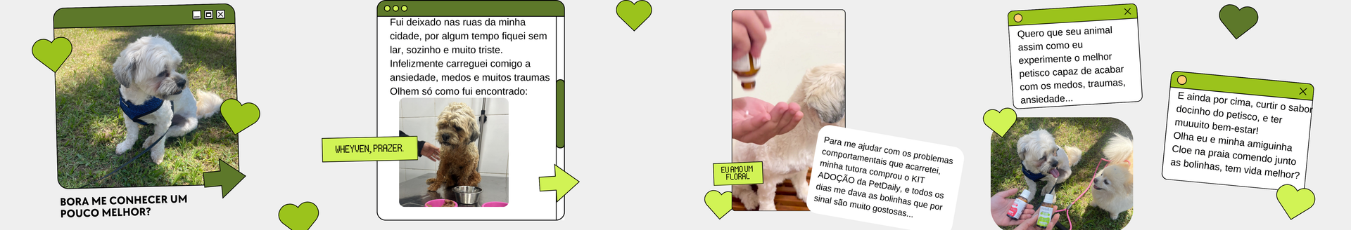 Produtos Premium para seu Pet